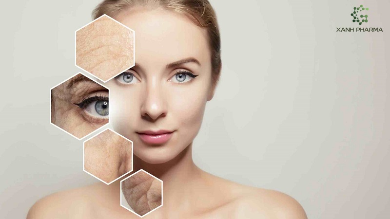 Estrogen đối với làn da