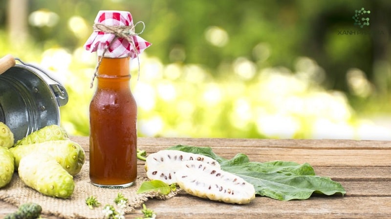 Nhàu chống lão hóa và bảo vệ sức khỏe