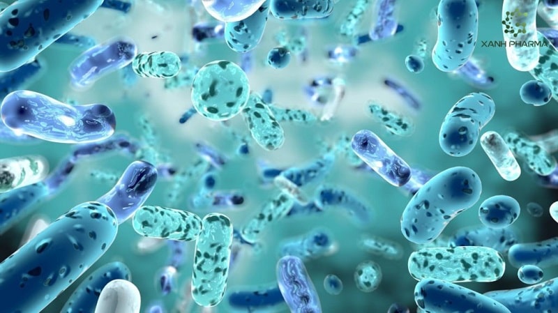 Những lợi ích và công dụng của Probiotics đối với cơ thể người