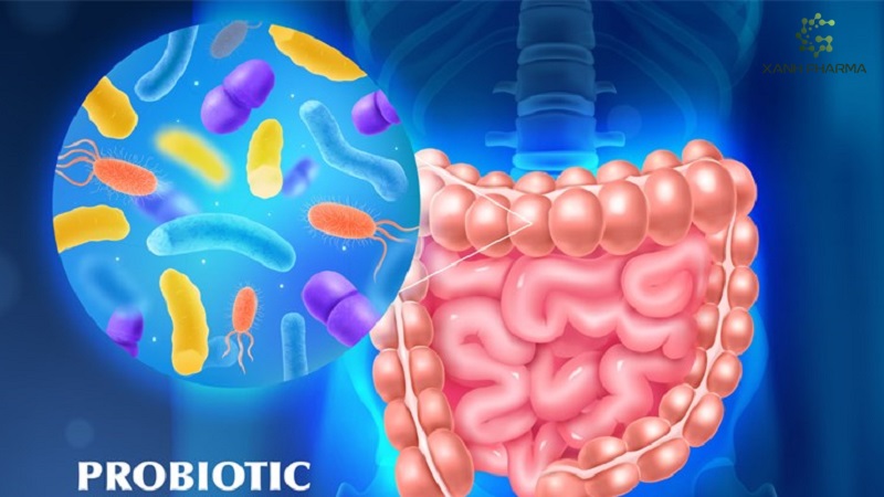 Phương pháp sử dụng probiotic để giảm cân tại nhà