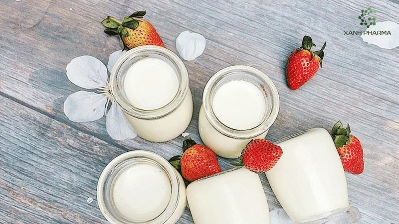 Vi khuẩn có vai trò vô cùng quan trọng trong sữa chua